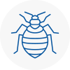 Bed Bug Extermination In Solihull
